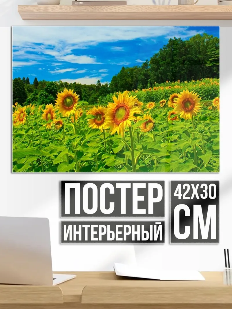 Постер поле подсолнухов