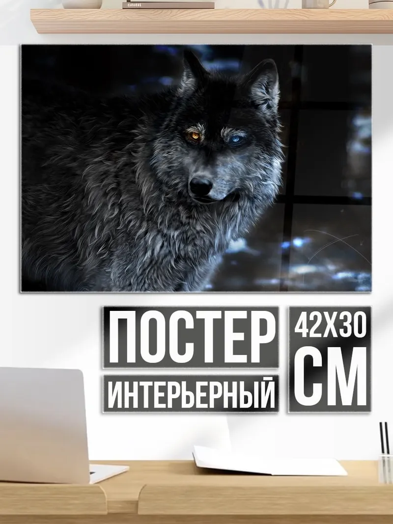 Постер Волк с разными глазами