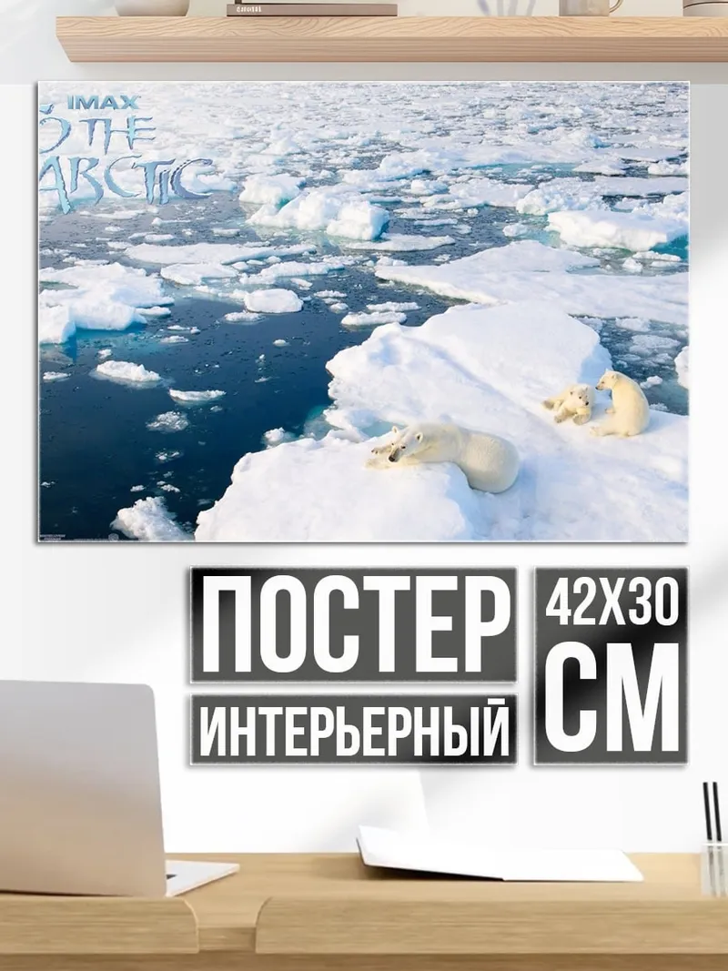Постер Белые медведи Арктики