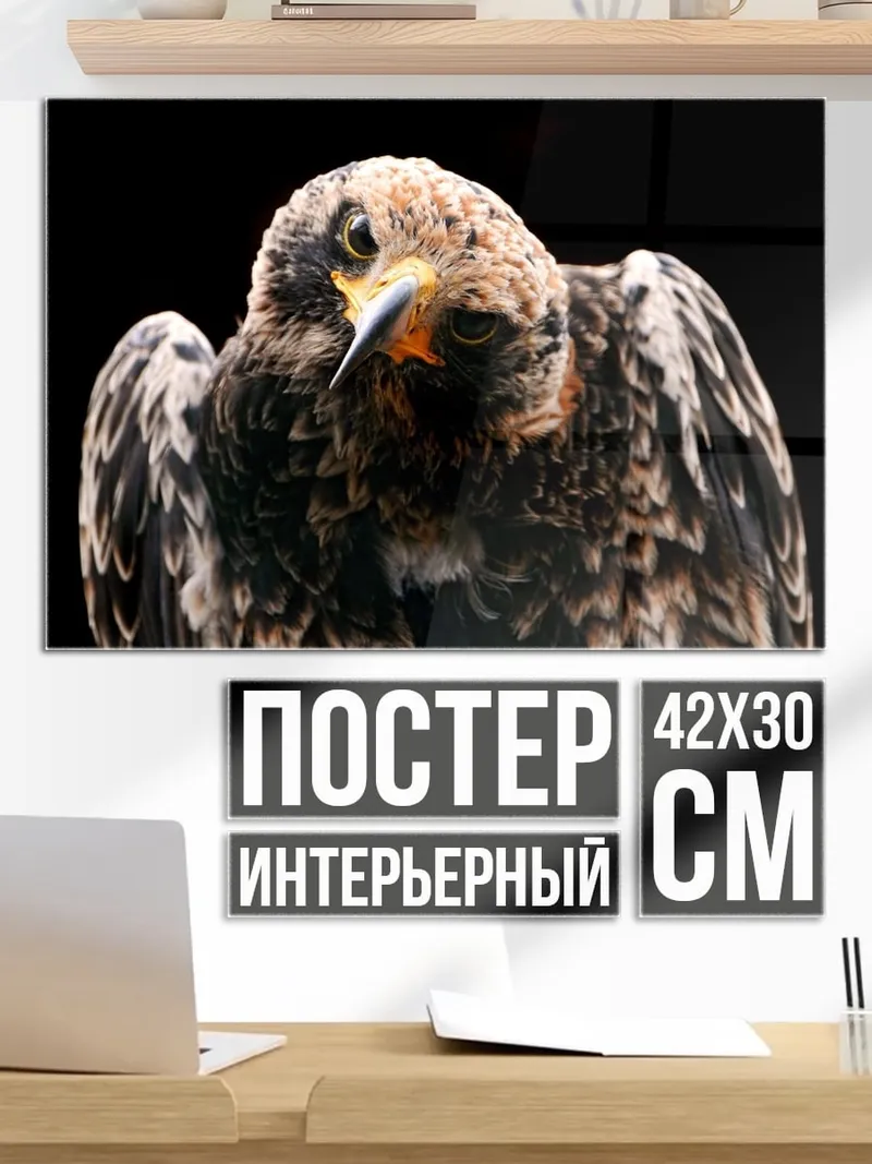 Постер орёл на чёрном фоне