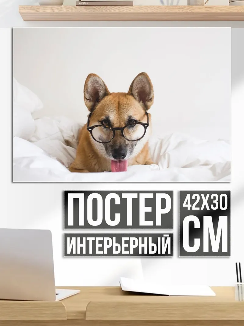Постер собака в очках