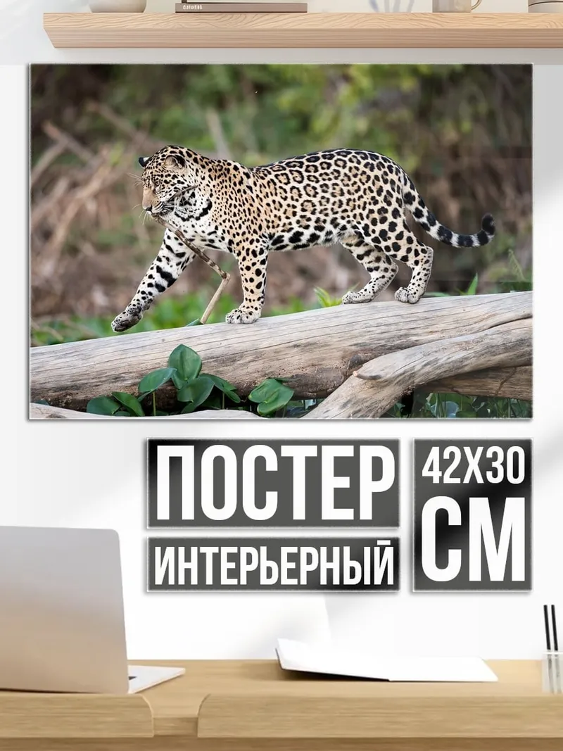 Постер ягуар на бревне
