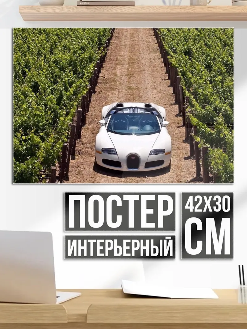 Постер Суперкар в винограднике