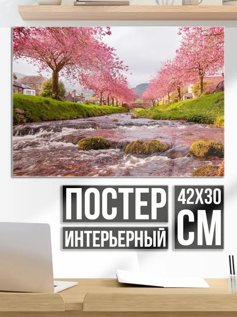 Постер Цветущая сакура у реки