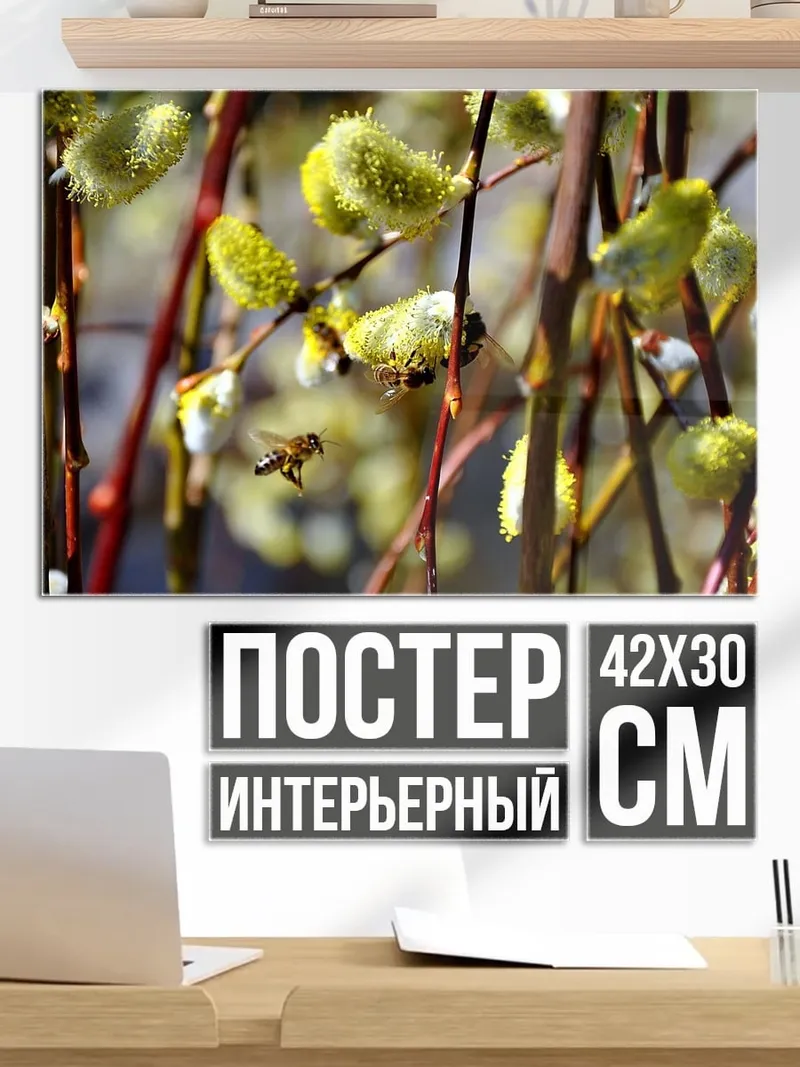 Постер Пчела на ветке вербы
