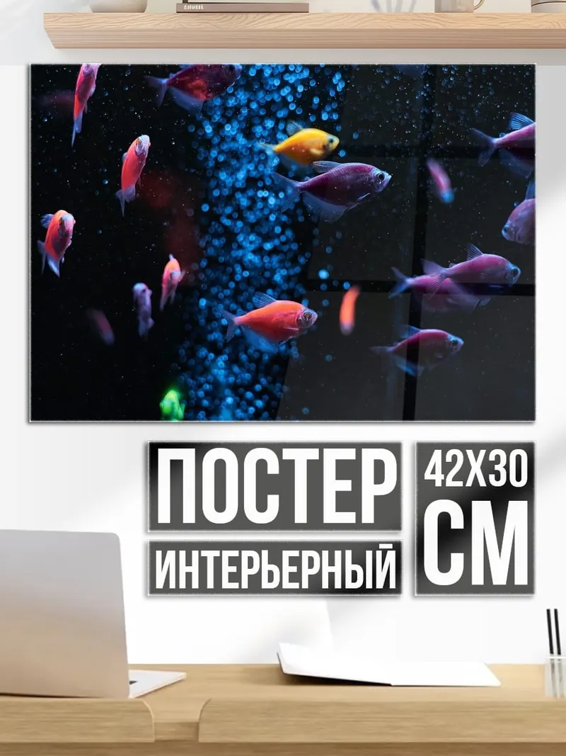 Постер Стайка неоновых рыб