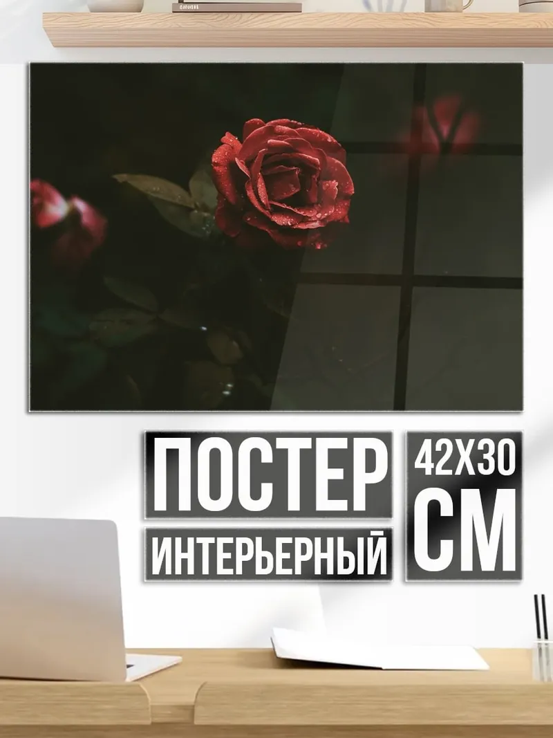 Постер Алая роза в тени