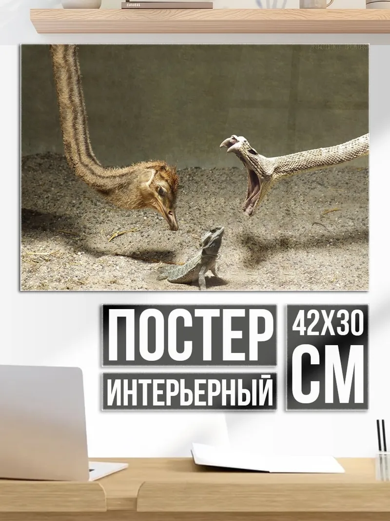 Постер Белка и ящерица