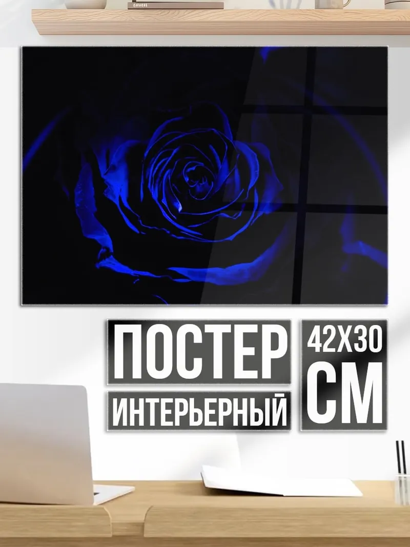 Постер Синяя роза ночь