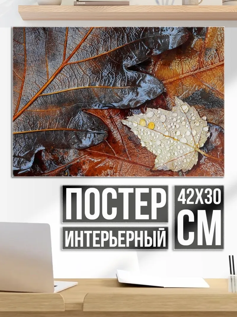 Постер Осенние листья с каплями