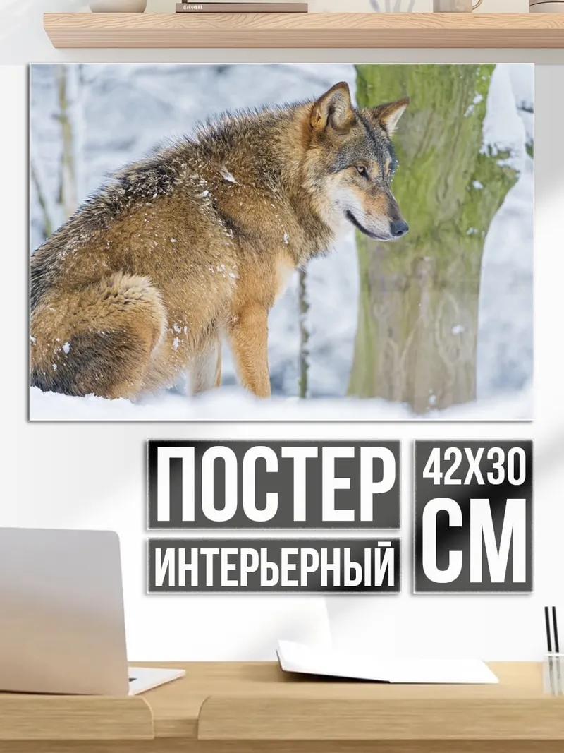 Постер зимний волк в лесу