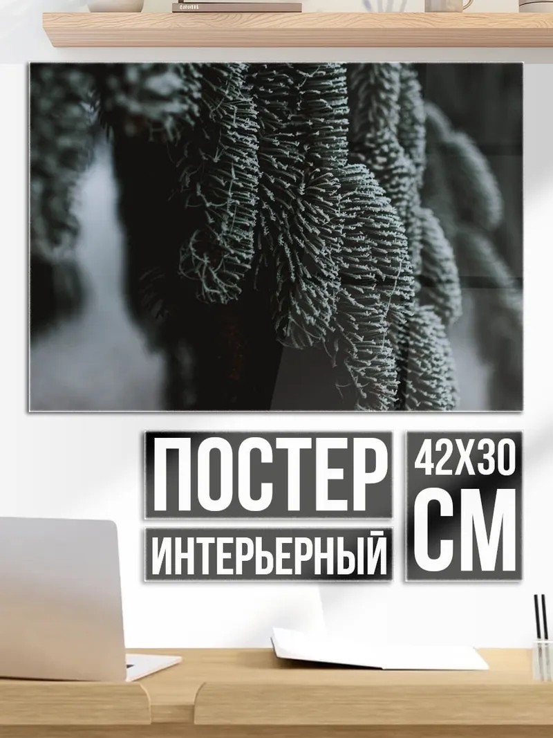 Постер Заснеженные ветки