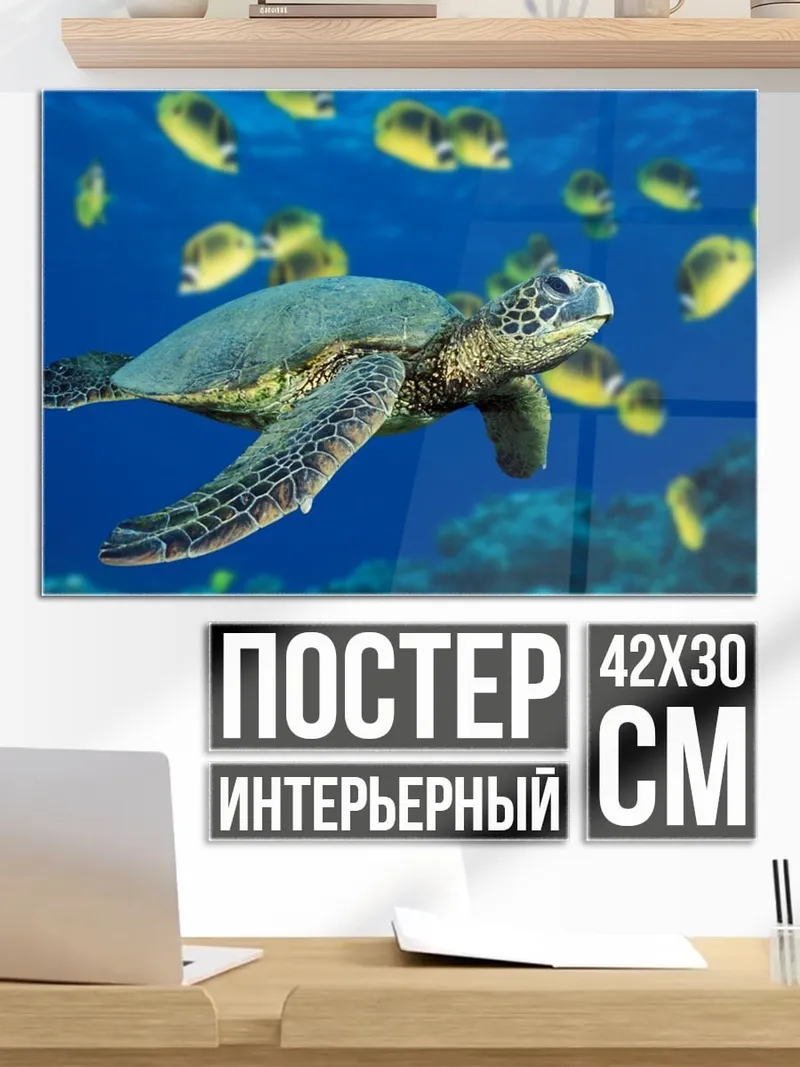 Постер Черепаха и рыбы