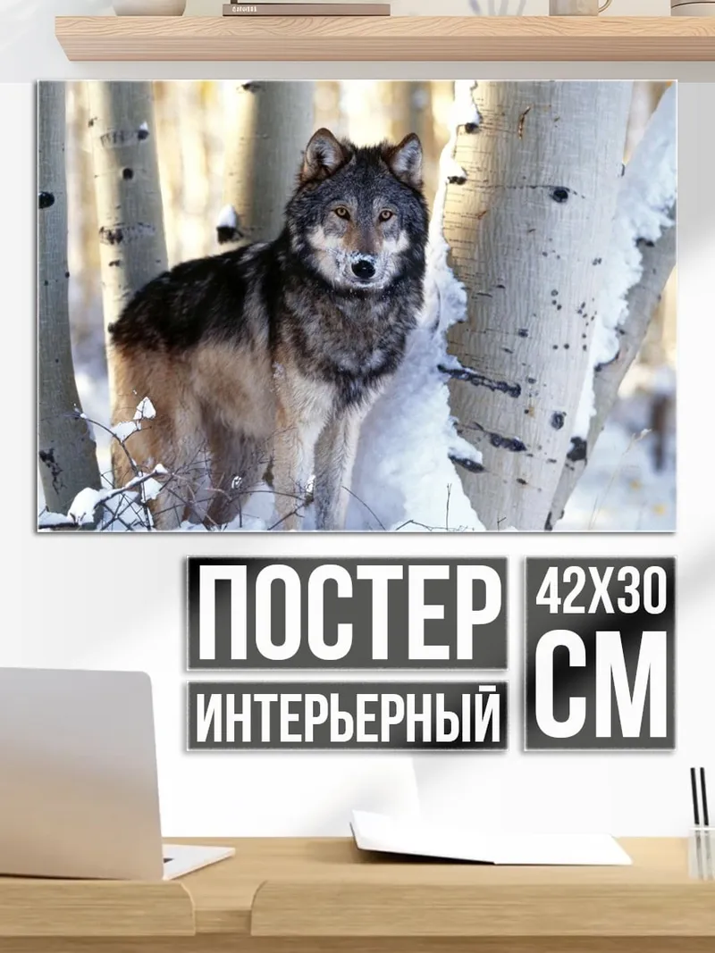 Постер Волк в снегу