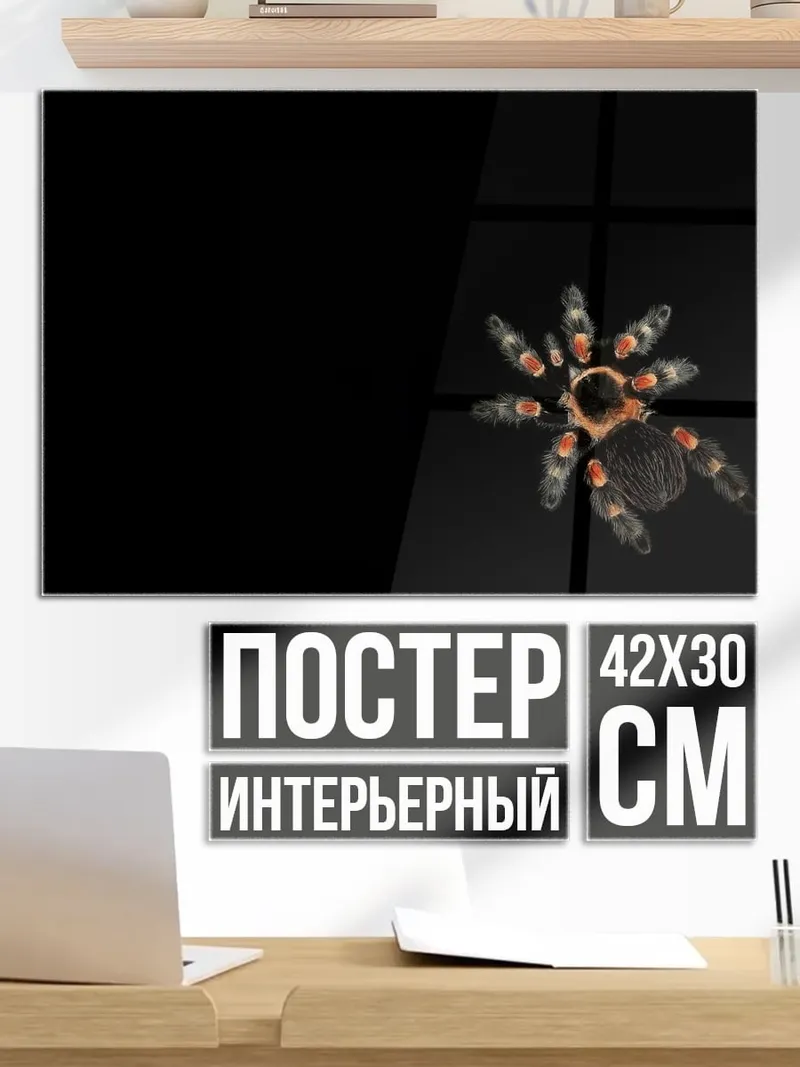 Постер Паук тарантул на черном