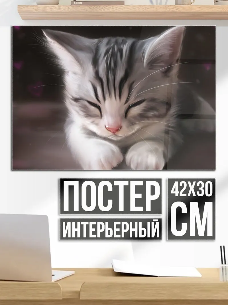 Постер Спящий котенок