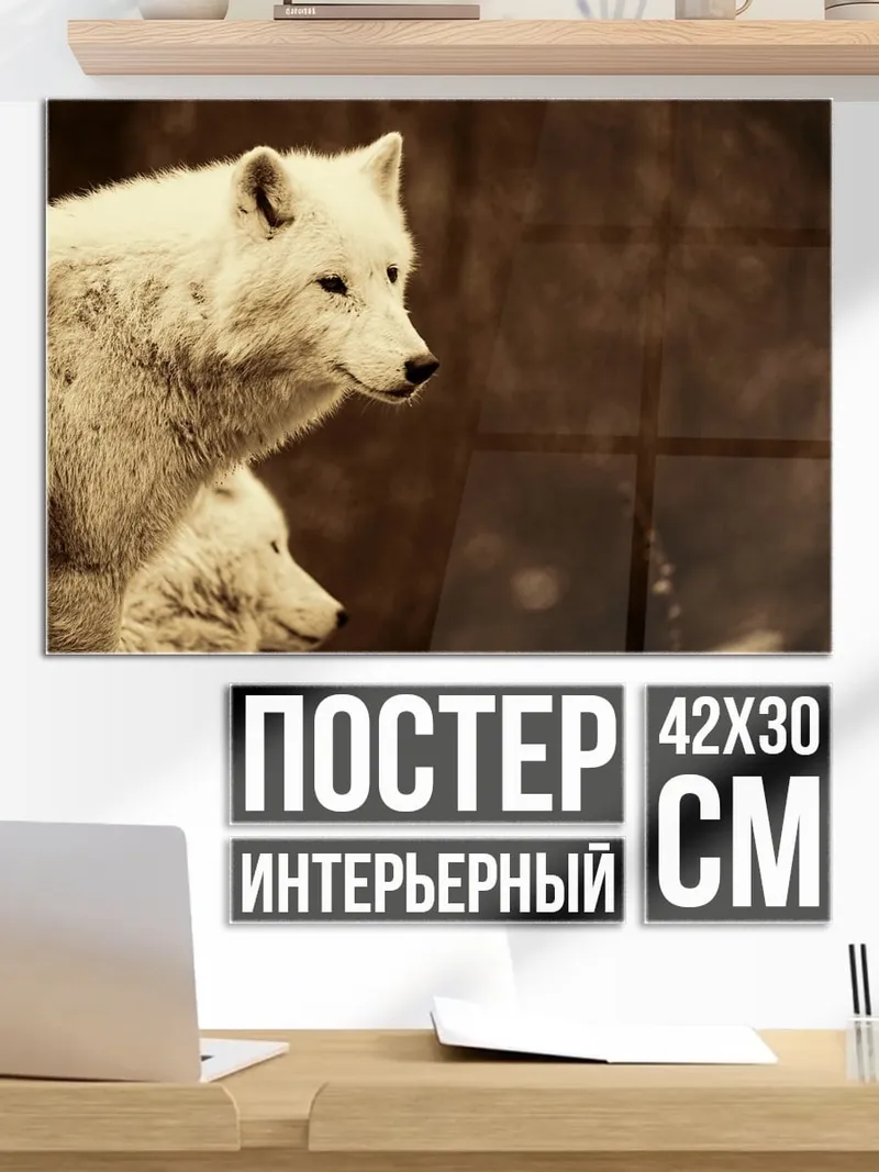 Постер Белые волки рядом