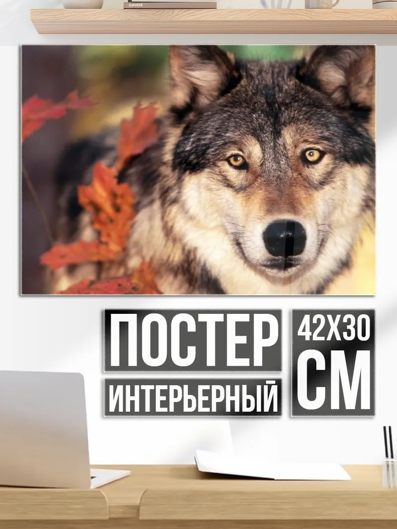 Постер Осенний волк