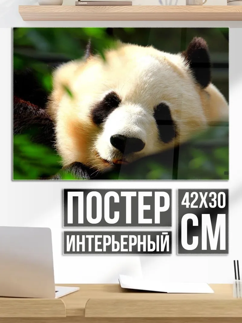 Постер Панда в бамбуке