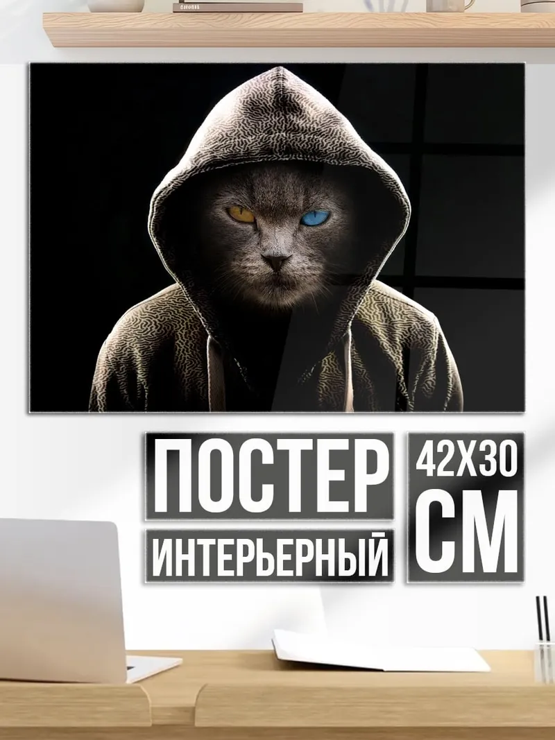 Постер Кот в капюшоне