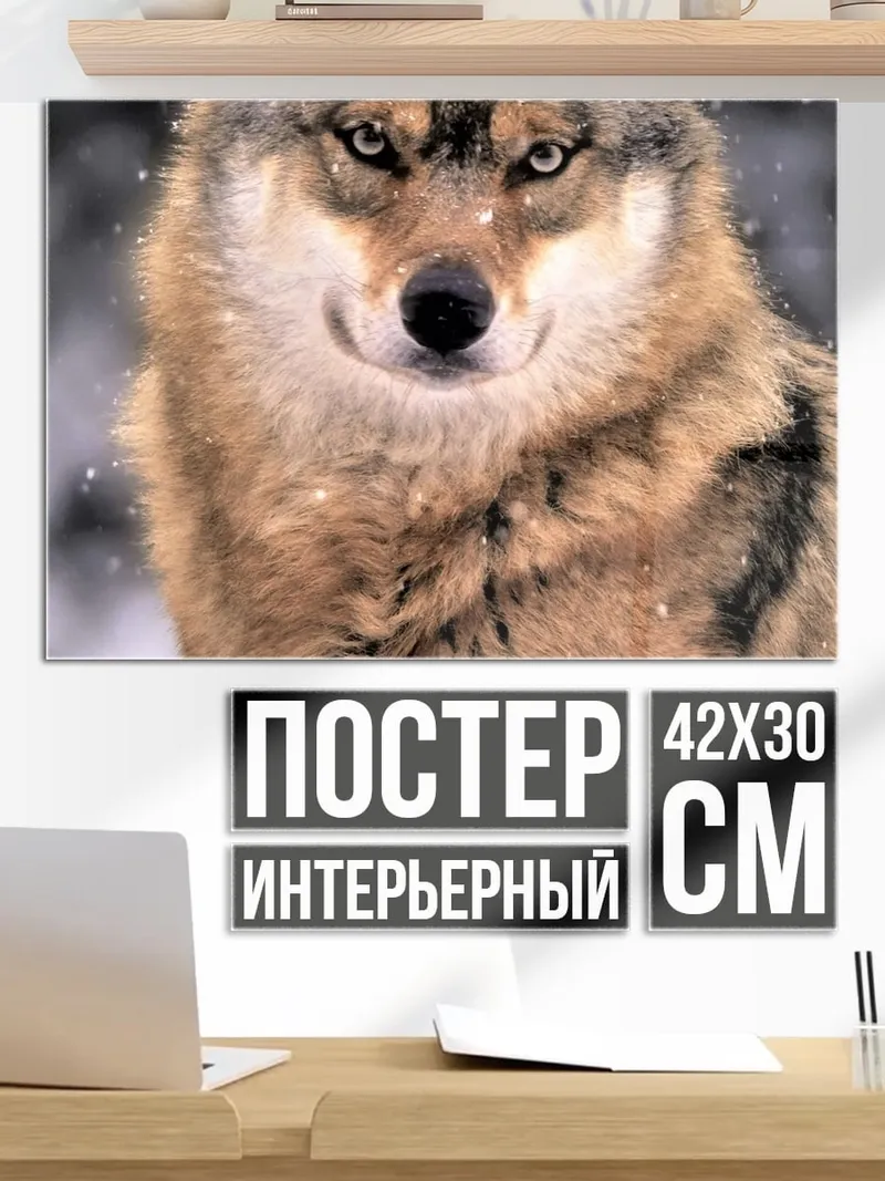 Постер Зимний волк