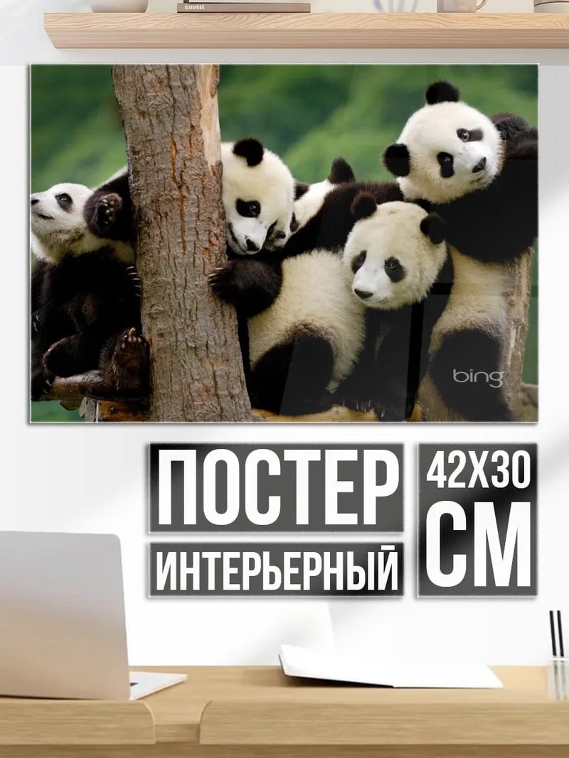 Постер Панды на дереве