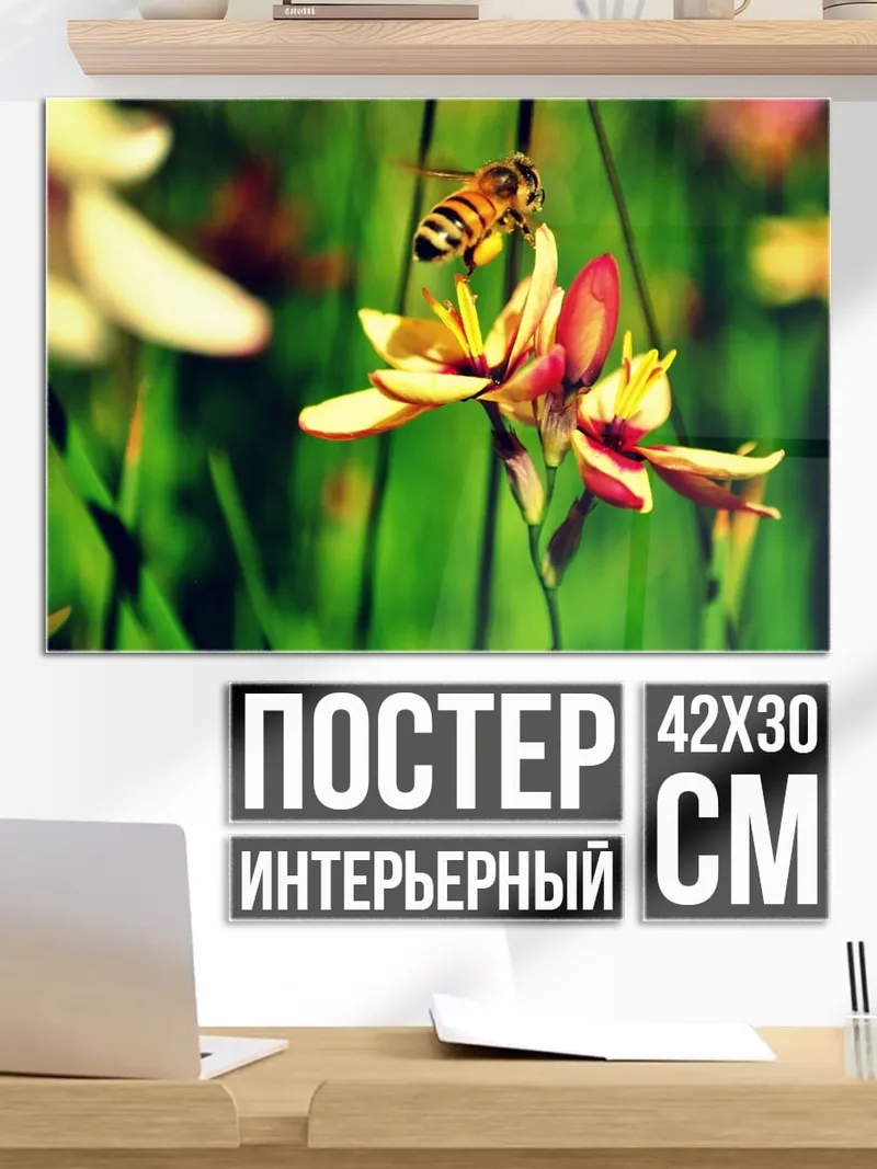 Постер Пчела на цветке