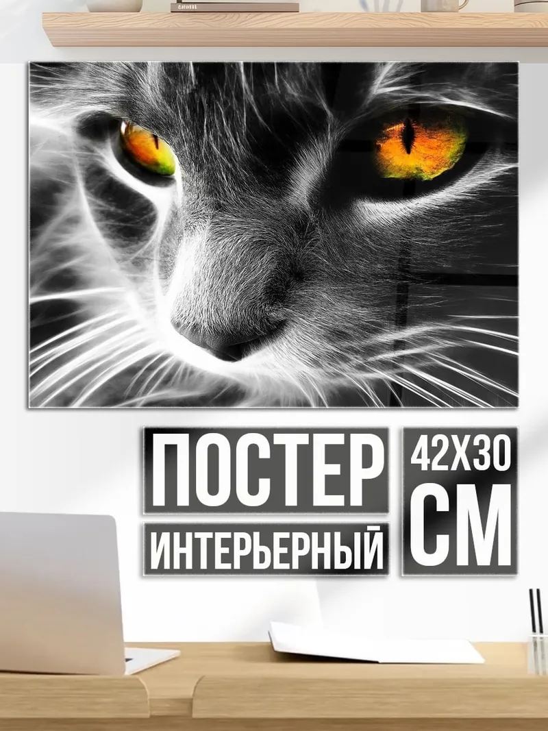 Постер Огненные глаза кота