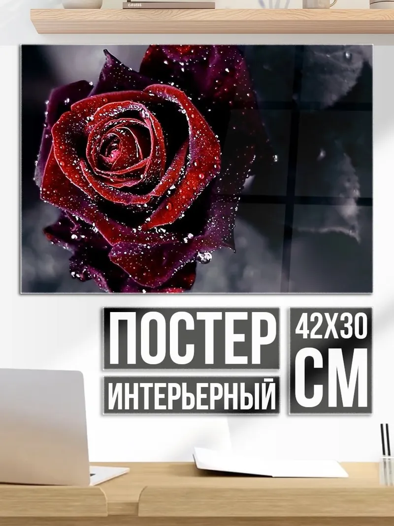 Постер Красная роза