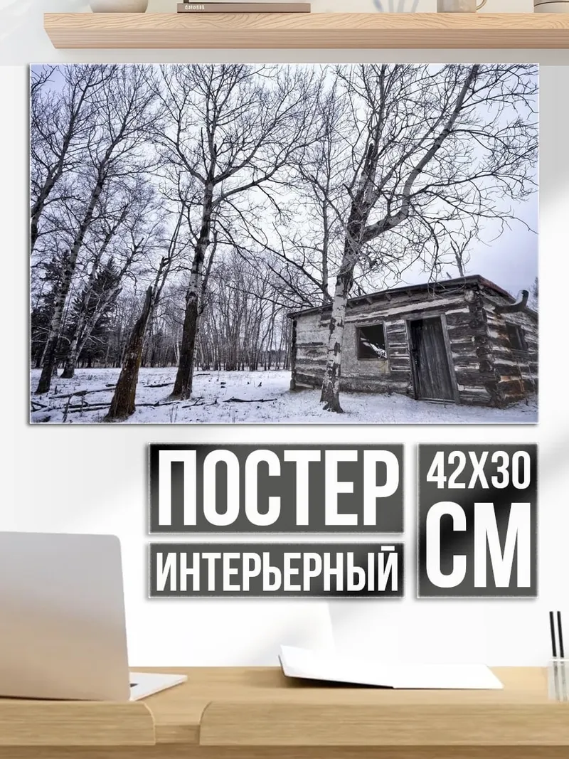 Постер Зимняя хижина
