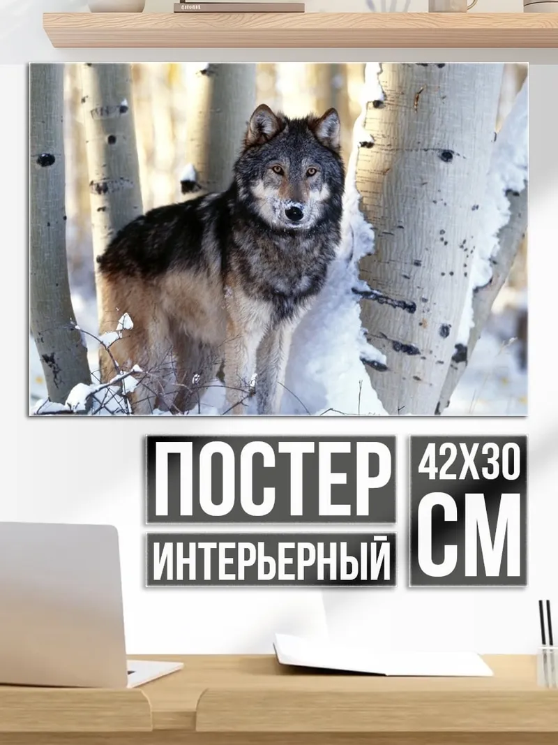 Постер волк в снегу