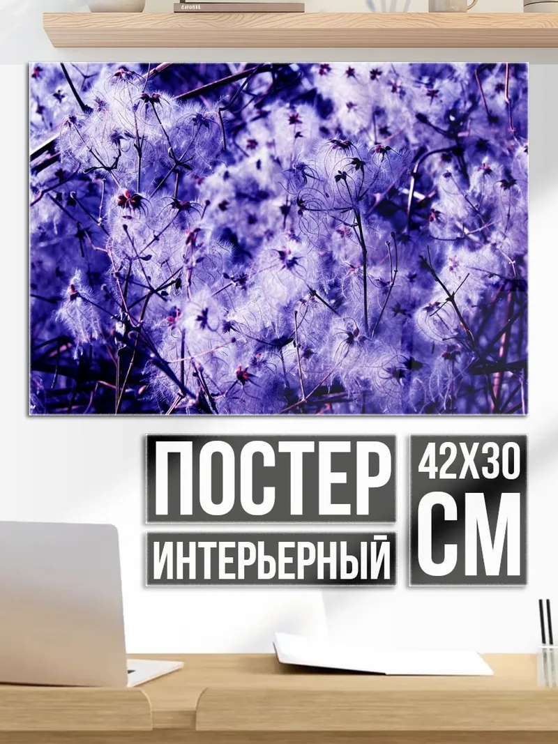 Постер Пушистые цветы