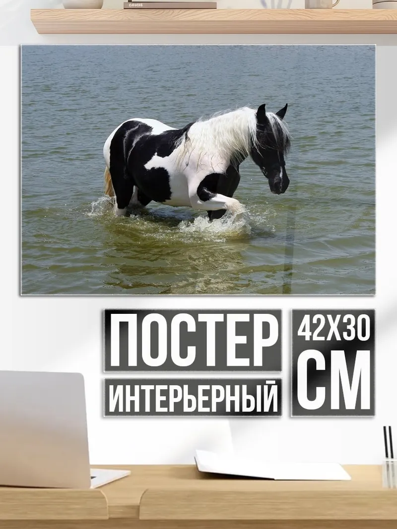 Постер Пегий конь в воде