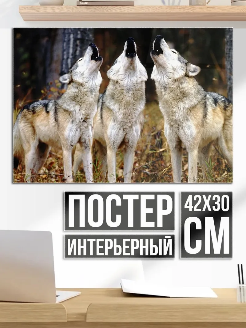 Постер Воющие волки вместе