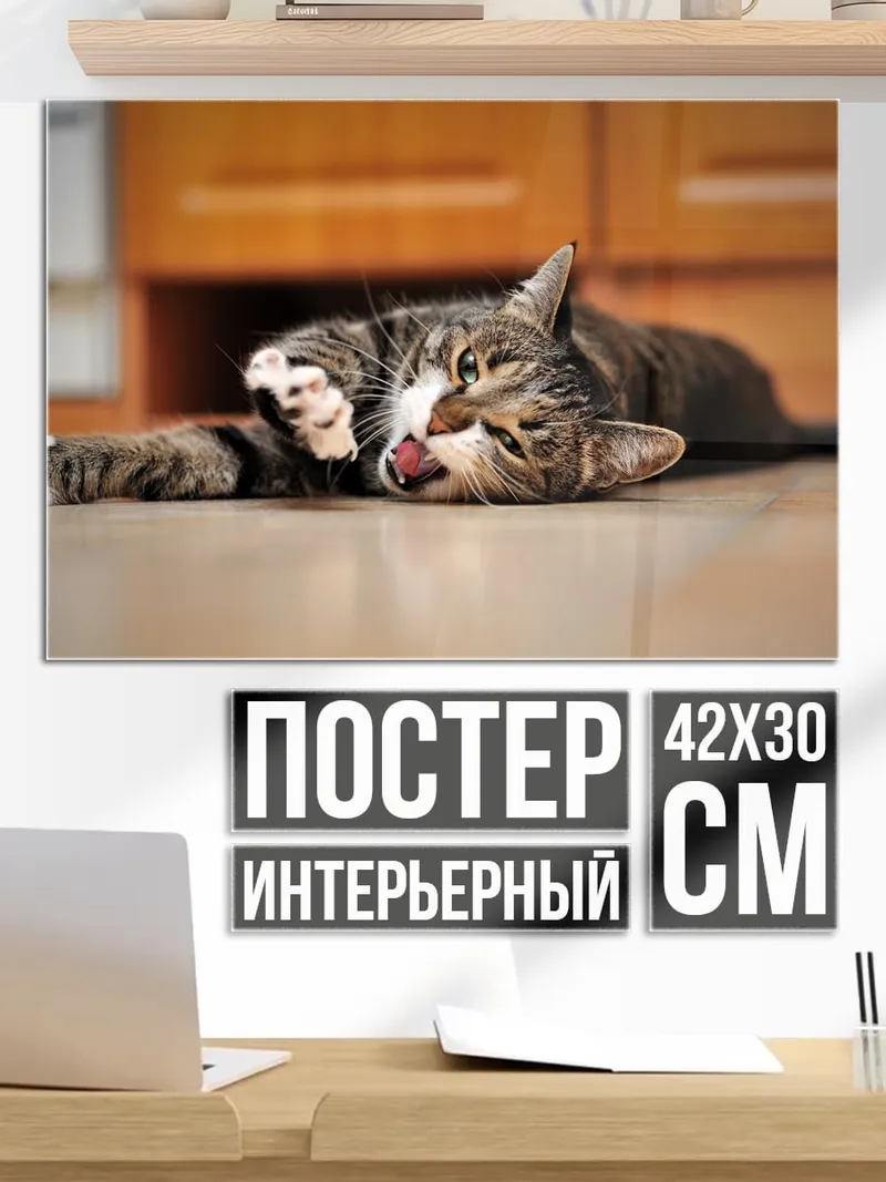 Постер Ленивый кот зевает