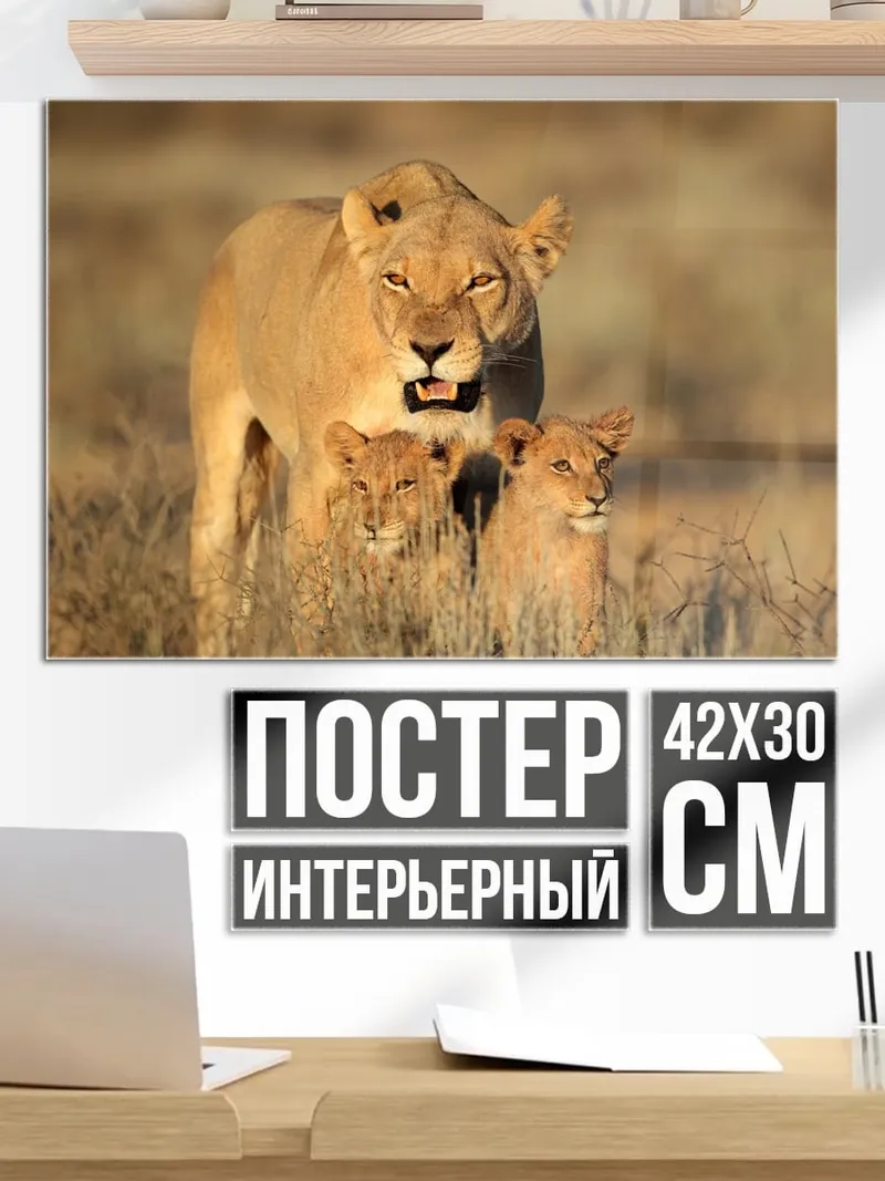 Постер Львица с детенышами