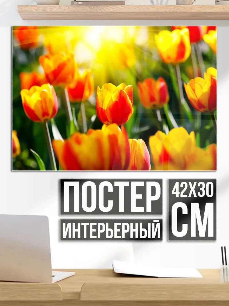 Постер яркие тюльпаны на солнце