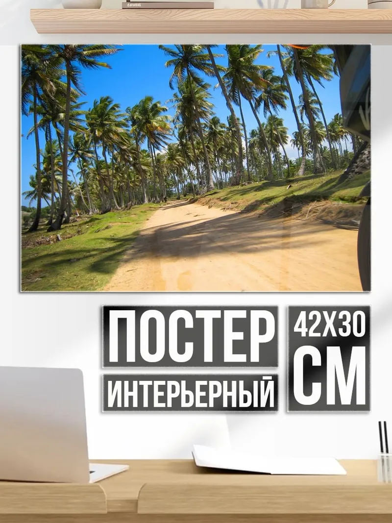 Постер дорога среди пальм