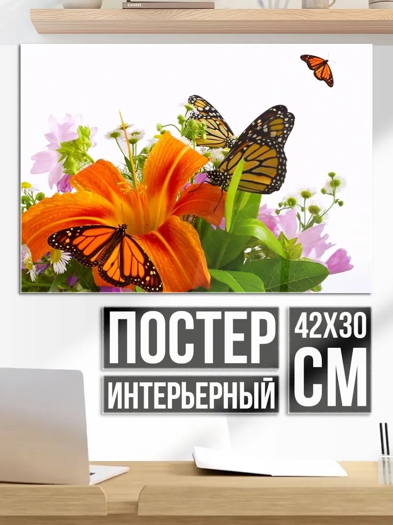 Постер бабочки на цветах