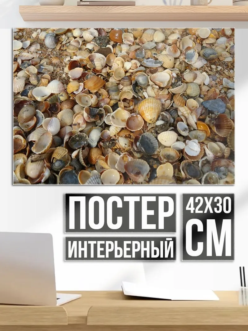 Постер Много мелких ракушек