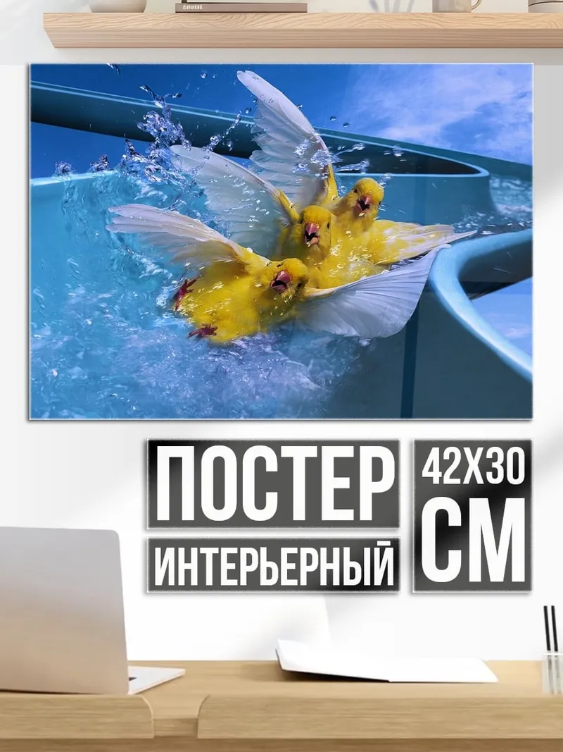 Постер Желтые птицы в воде