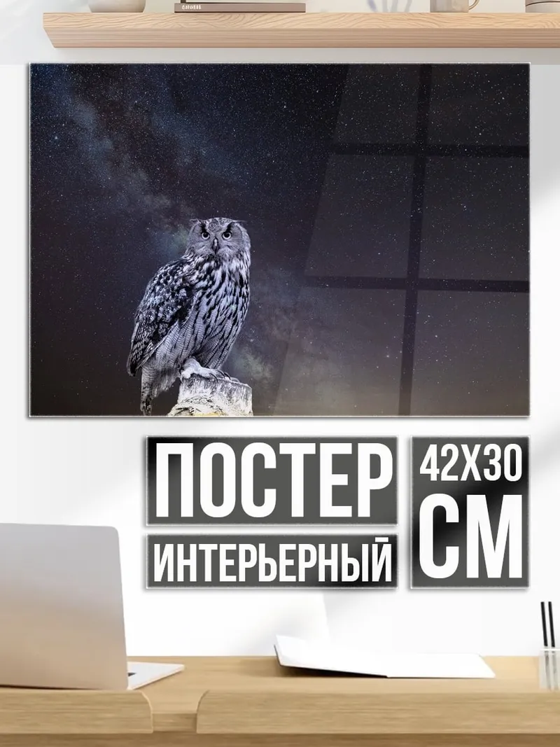 Постер Сова под звездами