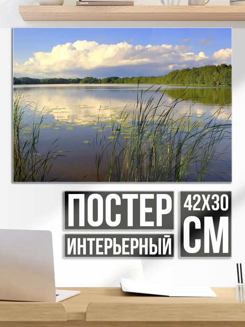 Постер Озеро в камышах
