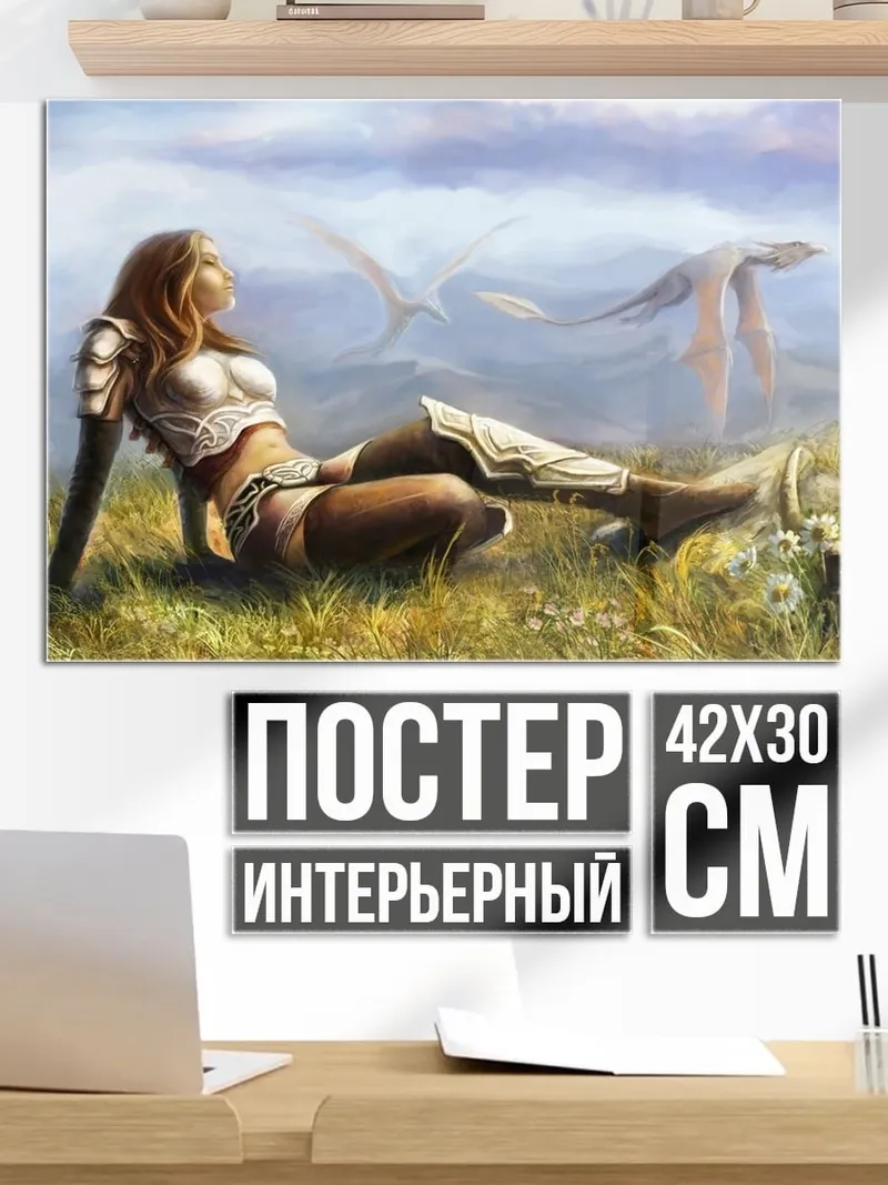 Постер Воительница и дракон