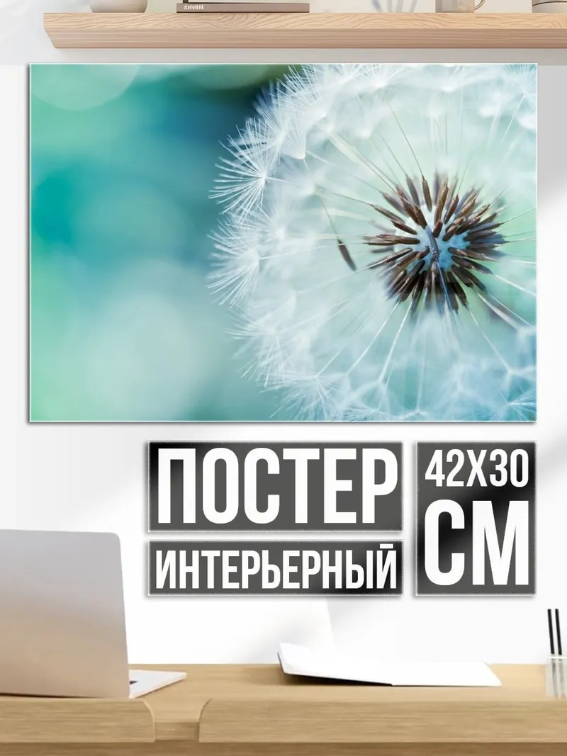 Постер Одуванчик в росе