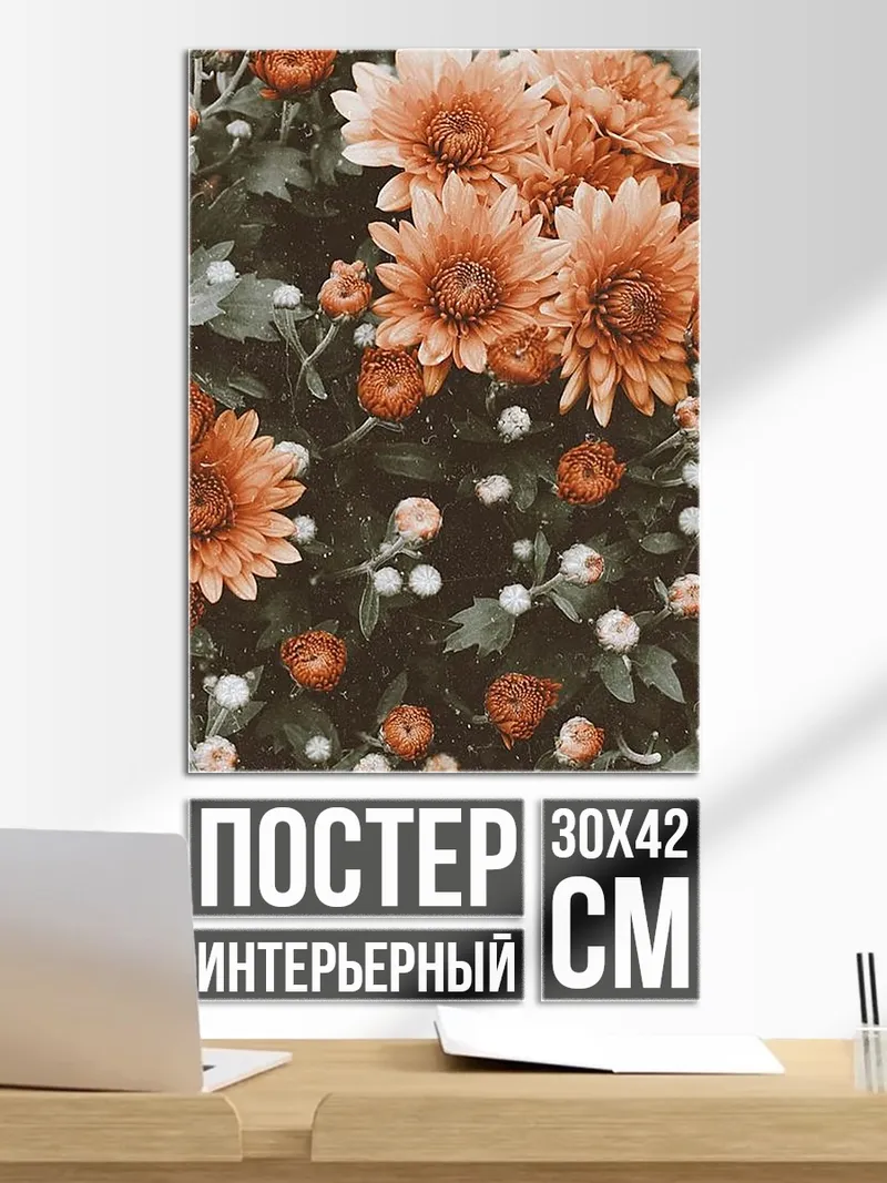 Постер Осенние хризантемы