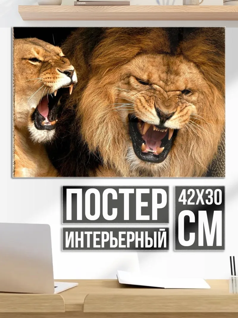 Постер Рычащие львы