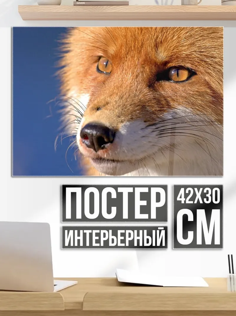 Постер рыжая лиса