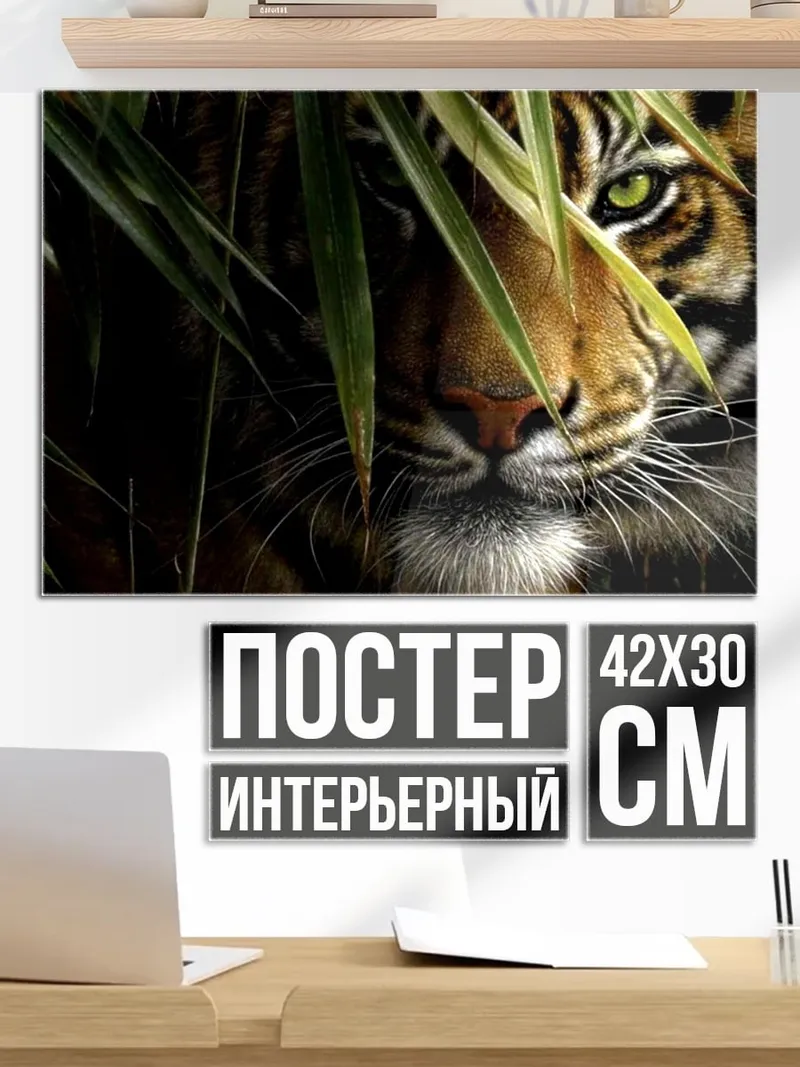 Постер тигр в зарослях