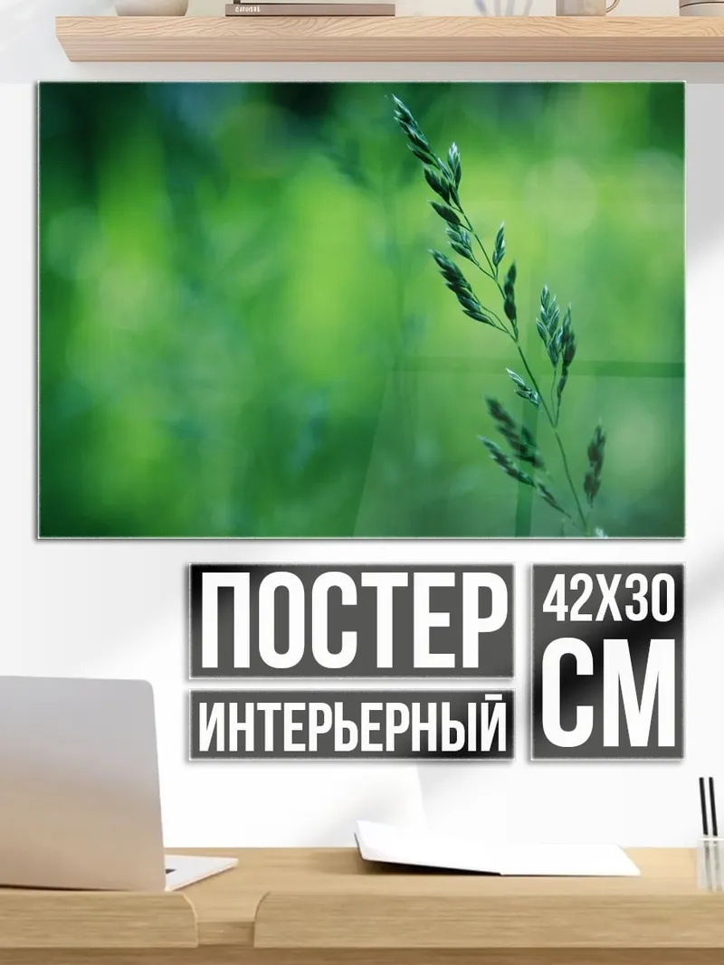Постер зелёный колосок на размытом фоне